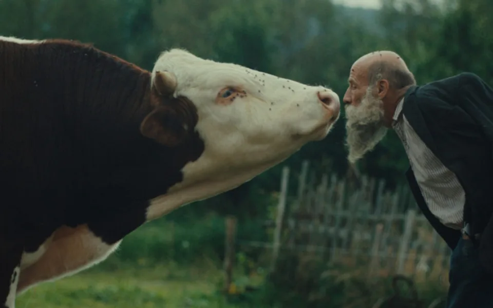 Křišťálový glóbus v Karlových Varech získal snímek Raději zešílet v divočině. Foto: Se svolením KVIFF