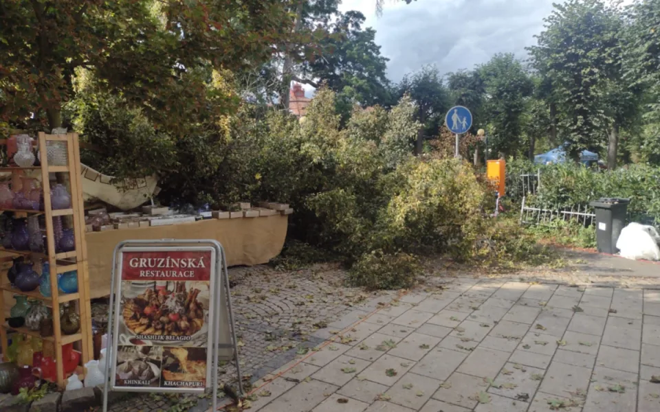 Na hlavní třídě ve Varech spadl mezi stánky strom a zranil ženu a muže.