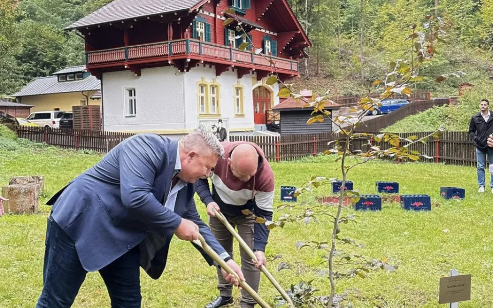 Odkaz zakladatele nápojové firmy a lázní Kyselka připomíná i pamětní strom.