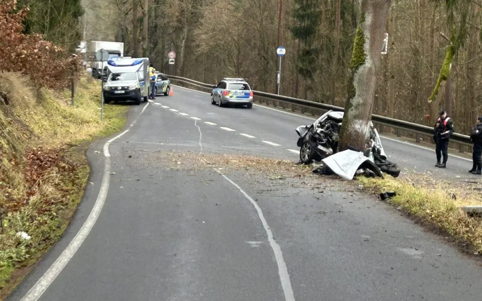 U Šemnice na Karlovarsku zemřel mladý řidič po nárazu auta do stromu. Foto: Se svolením Policie ČR