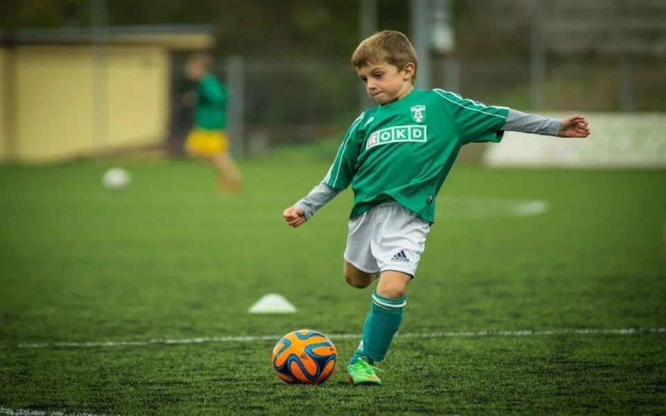 0231010-dotace-vzdelavani-sport
