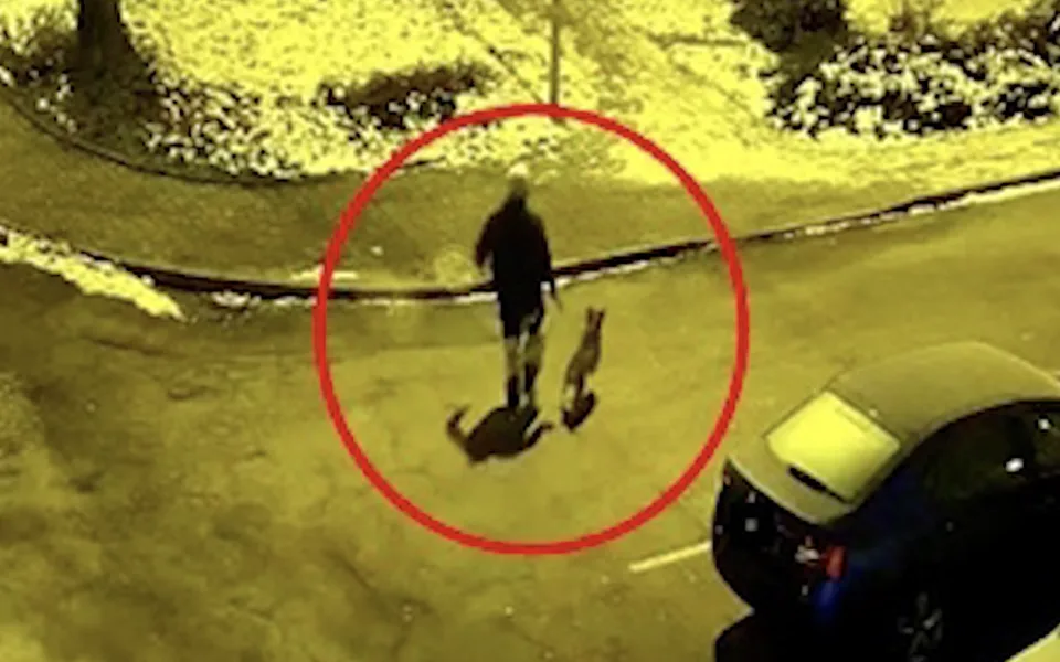 Policie pátrá po totožnosti svědka incidentu v Dalovicích.