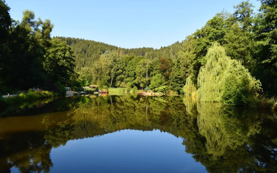 Ilustrační foto. Foto: Bečovská botanická zahrada